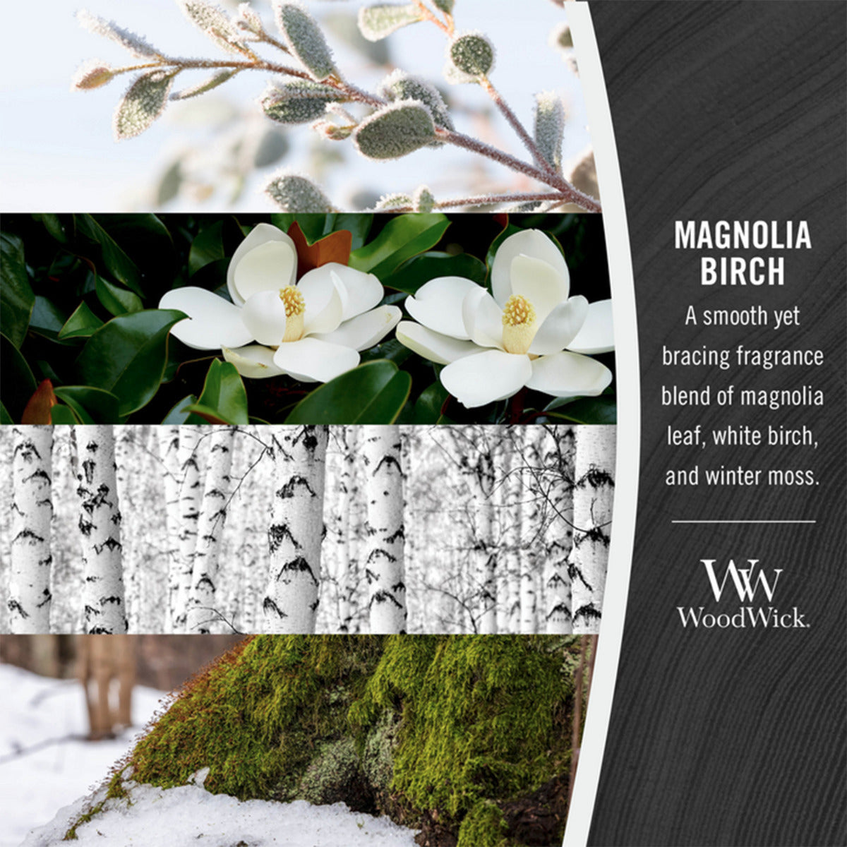 Woodwick Magnolia Birch Mini